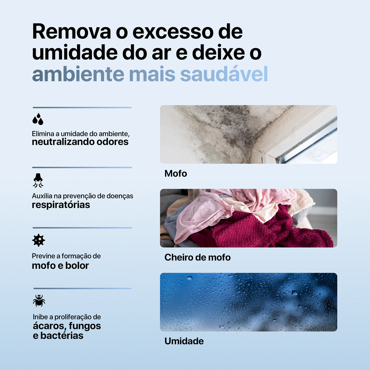 Desumidificador Compressor Connect Dry