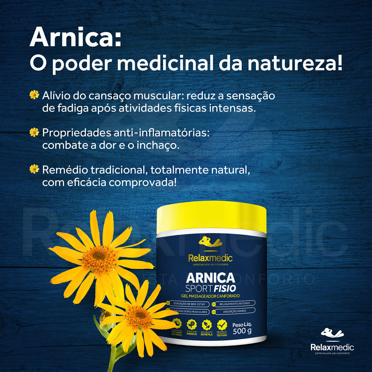 Gel Massageador Arnica Sport Fisio