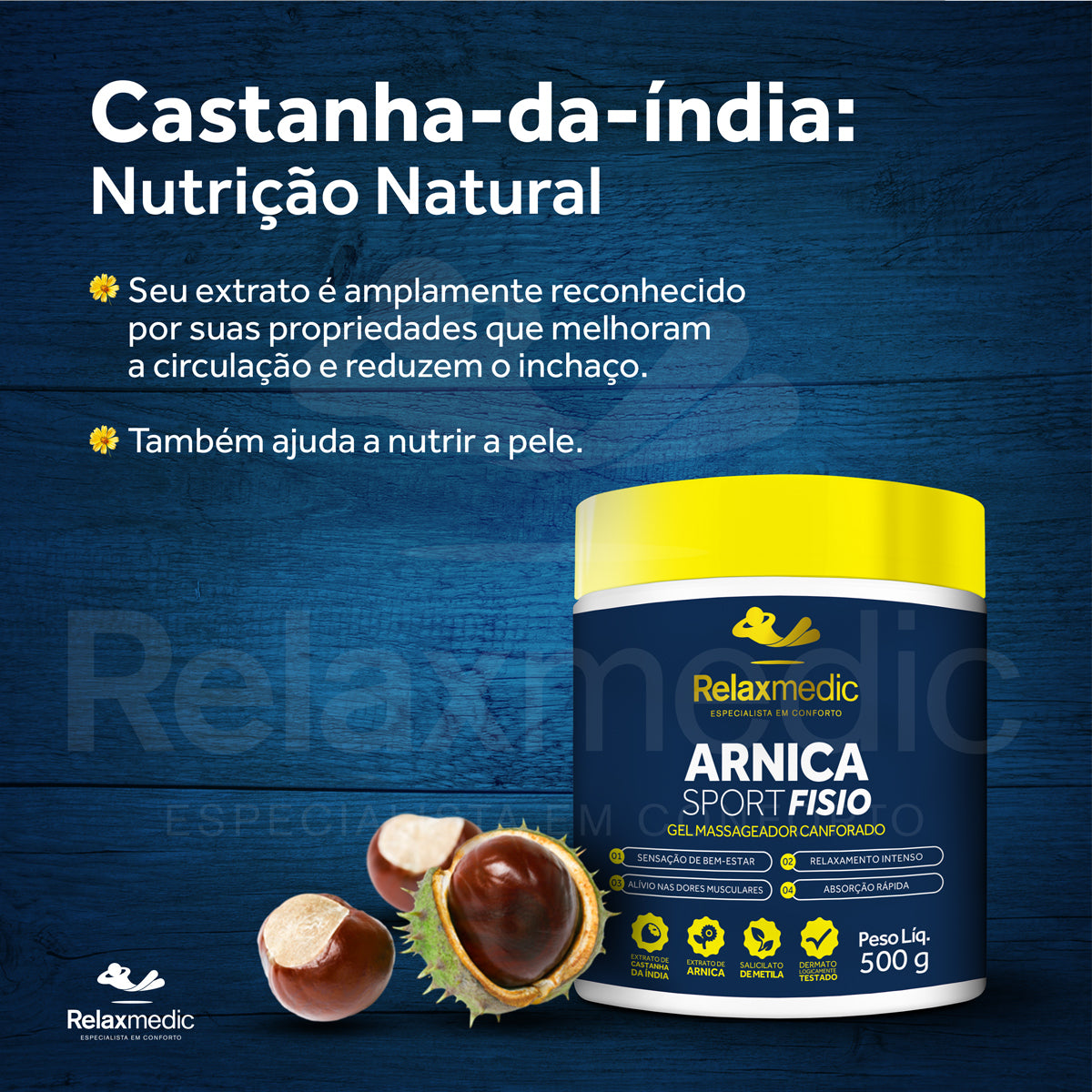 Gel Massageador Arnica Sport Fisio