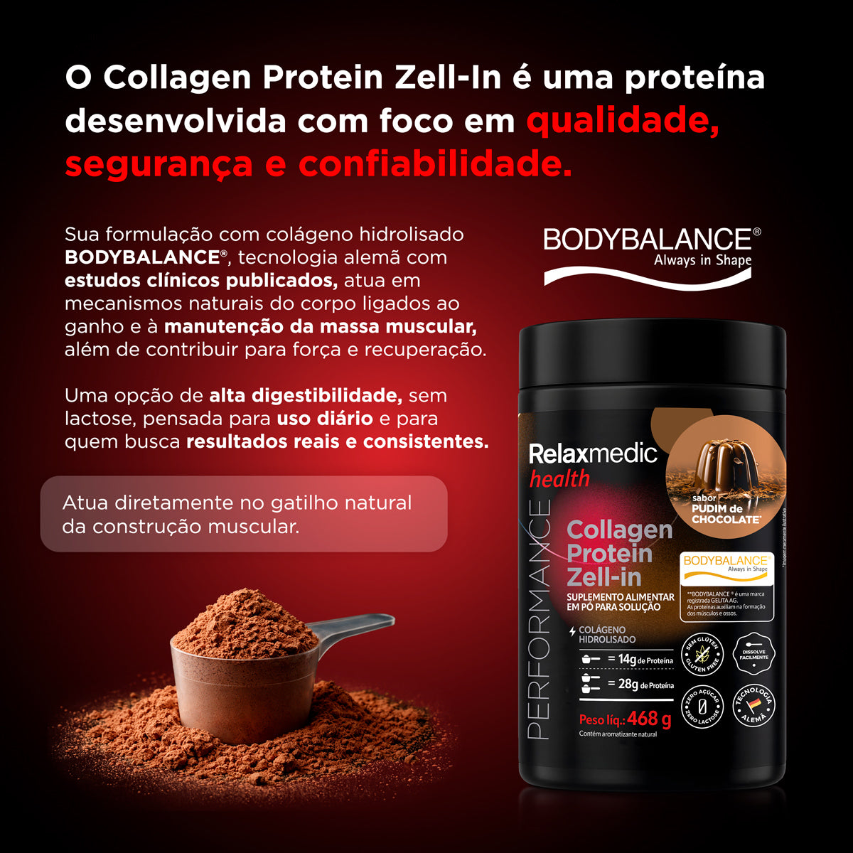 Collagen Protein Zell-In Pudim de Chocolate