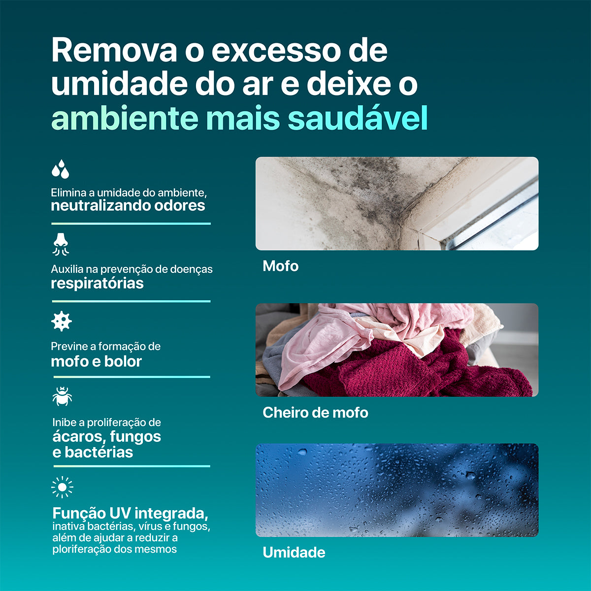 Desumidificador de Ar Cub-Sec 2 em 1